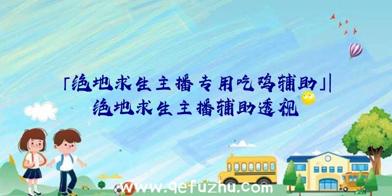 「绝地求生主播专用吃鸡辅助」|绝地求生主播辅助透视